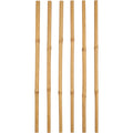 Ylvhg Reedspire Bamboo Plant Trellis Stakes 18 in 6-Pack Natural