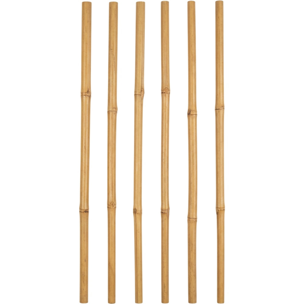 Ylvhg Reedspire Bamboo Plant Trellis Stakes 18 in 6-Pack Natural