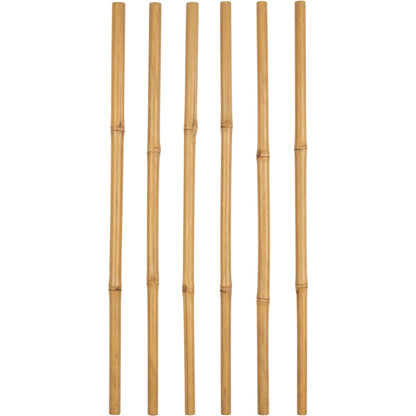 Ylvhg Reedspire Bamboo Plant Trellis Stakes 18 in 6-Pack Natural
