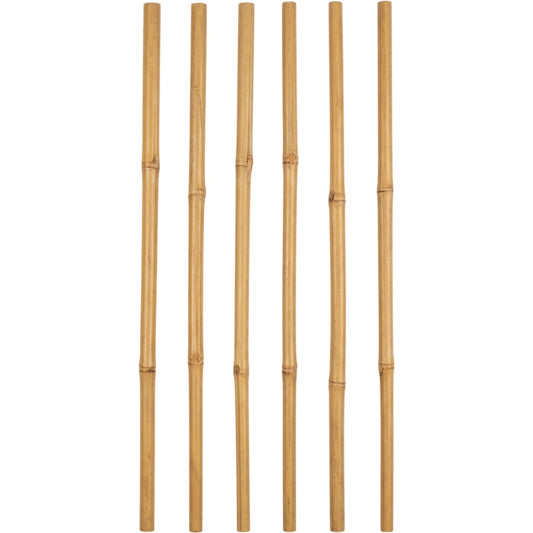 Ylvhg Reedspire Bamboo Plant Trellis Stakes 18 in 6-Pack Natural