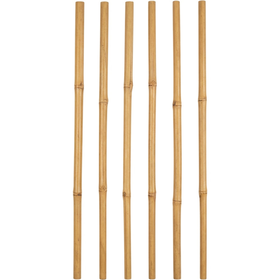 Ylvhg Reedspire Bamboo Plant Trellis Stakes 18 in 6-Pack Natural