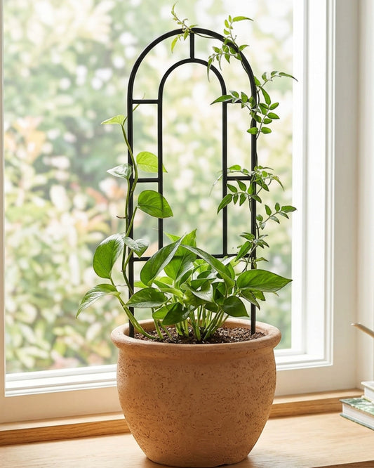 Ylvhg Arborcurve Metal Arch Plant Trellis 24 in Black