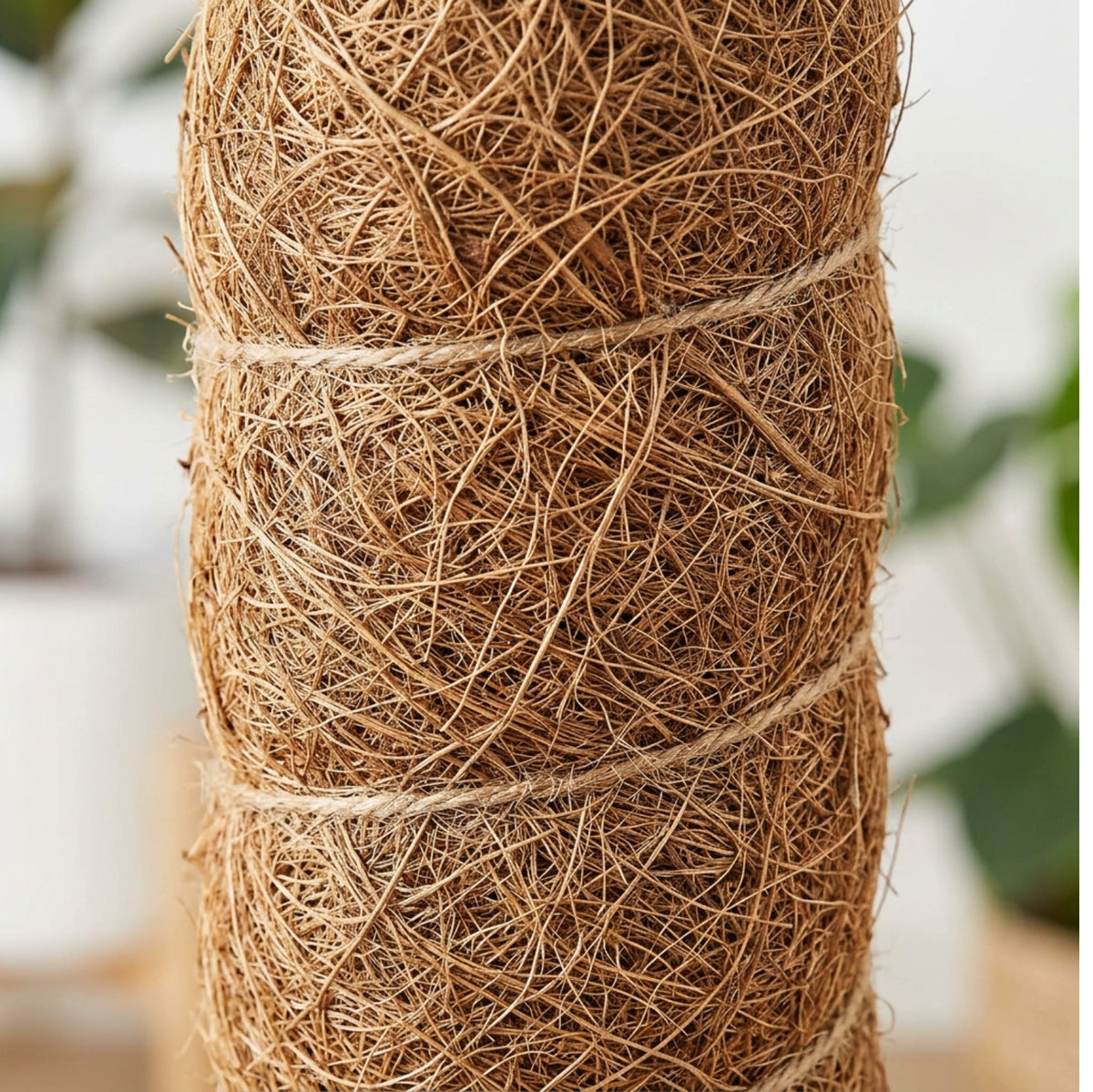Ylvhg Coirclimb Moss Pole Plant Support 30 in Coir Brown
