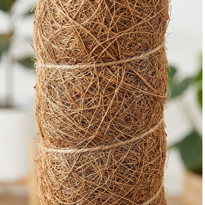 Ylvhg Coirclimb Moss Pole Plant Support 30 in Coir Brown