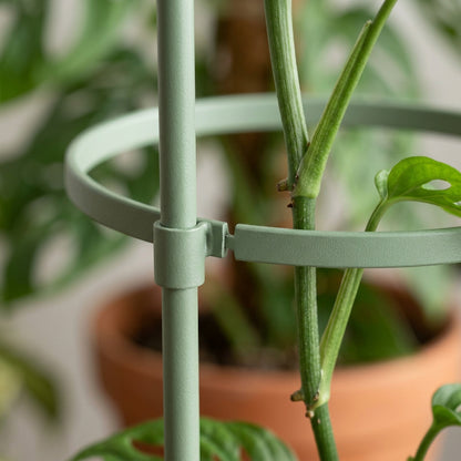 Ylvhg Stemhalo Adjustable Plant Support Ring Set 3-Pack Sage Green