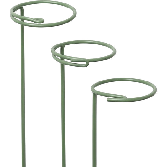 Ylvhg Stemhalo Adjustable Plant Support Ring Set 3-Pack Sage Green